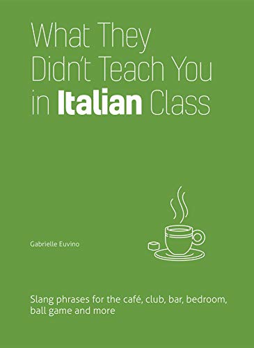 What They Didn't Teach You In Italian Class: Slang Phrases for the Cafe, Club, Bar, Bedroom, Ball Game and More (Dirty Everyday Slang)
