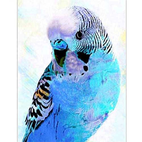 Yingxin34 Puzzle de 5000 Piezas, 5000 Piezas, desafío, Pájaro con Plumas Azules puzle de 5000 Piezas, para Adultos, 5000 Piezas, Yingxin34 Puzzle de 5000 Piezas, 5000 Piezas, desafío, Pájaro con Plumas Azules puzle de 5000 Piezas, para Adultos, 5000 Piezas,