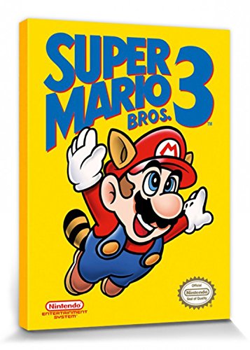 1art1 Super Mario - Bros. 3, NES Cover Cuadro, Lienzo Montado sobre Bastidor (40 x 30cm)