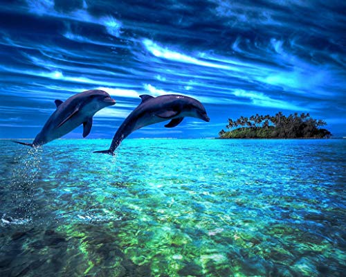 Adultos Puzzle 1000 Piezas De Madera Niño Rompecabezas-Green Island Dolphin-Juego Casual De Arte Diy Juguetes Regalo Interesantes Amigo Familiar Adecuado