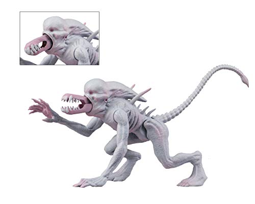 Alien NECA - Figuras Neomorph Blister con Niño - Multicolor - 14cm