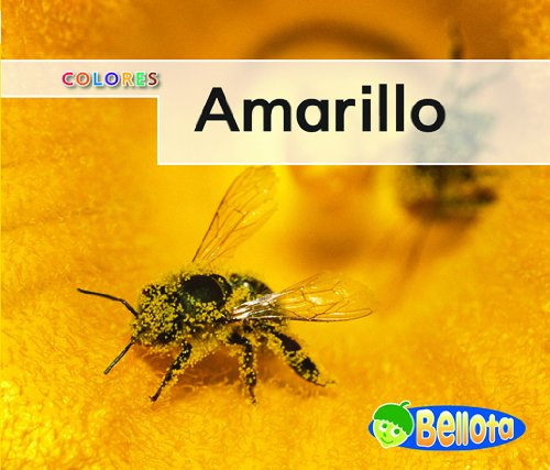 Amarillo / Yellow (Bellota)