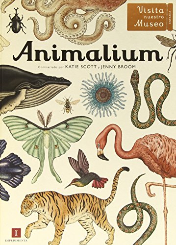 Animalium (El chico amarillo)