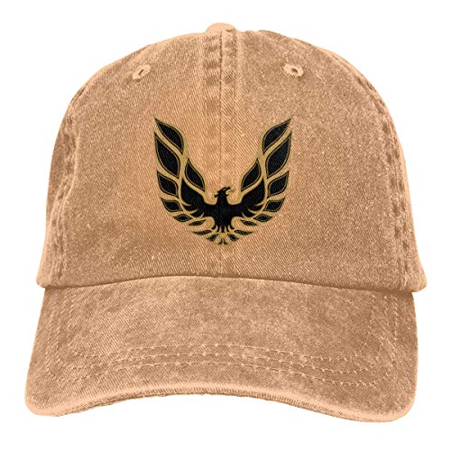Beside Custom Pontiac Firebird Logo 2 Funny Hip-Pop Caps for Man Black Sombreros y Gorras