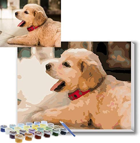 Foto Personalizada Pintar por Numeros Adultos Lienzo Personalizado Con Foto Personaliza tu Propia Imagen Kits de Pintura de Mascotas y Retratos Regalos Personalizados de bricolaje, Con marco 30X40CM