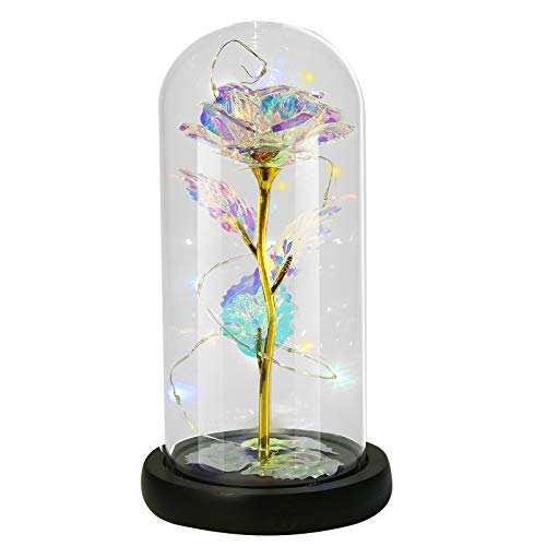 Gomyhom Regalo de Rosas con Flores Artificiales, Rosas arcoíris, luz LED en Vidrio para Decoración del hogar, Regalos Personalizados para mamá, Abuela, Mujeres, Novia, Día de San Valentín, Cumpleaños Gomyhom Regalo de Rosas con Flores Artificiales, Rosas arcoíris, luz LED en Vidrio para Decoración del hogar, Regalos Personalizados para mamá, Abuela, Mujeres, Novia, Día de San Valentín, Cumpleaños