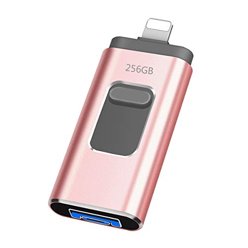 iweed Pendrive 256GB para iPhone iPad Memoria USB 256GB USB 3.0 Photo Stick 3 en 1 Flash Drive Expansión de Memoria para iPhone iPad iOS OTG Android Computadora Laptops