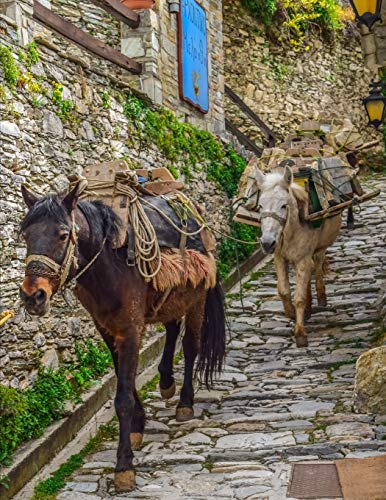 Notebook: Mules path cobblestone animal carrying village Italy Italian paving paver brick bricks masonry