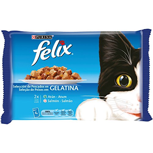 Purina Felix Gelatina comida para gatos con surtido de pescados 10 x [4 x 100 g]