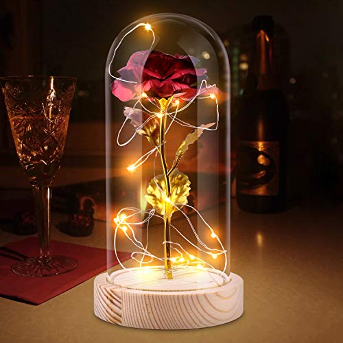 Rosa en tarro de cristal, rosa eterna en tarro de cristal con luz LED, romántica, regalo para mujer, novia, Navidad, San Valentín, aniversario, cumpleaños, boda, decoración principal (dorado)