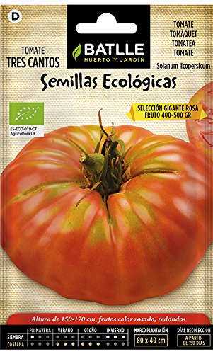 Semillas Ecológicas Hortícolas - Tomate tres cantos gigante rosa - ECO - Batlle Semillas Ecológicas Hortícolas - Tomate tres cantos gigante rosa - ECO - Batlle