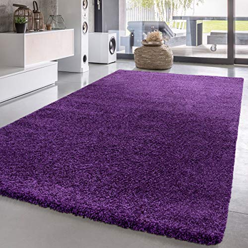 T&T Design Alfombra Shaggy Pelo Largo Moderna Monocolor En Lila Precio Inmejorable, Größe:120x170 cm