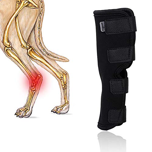Vagasi Paquete de 2 soportes de compresión para la pierna trasera de la pierna, para la compresión de las articulaciones de la pantorrilla para la curación de lesiones de esguinces
