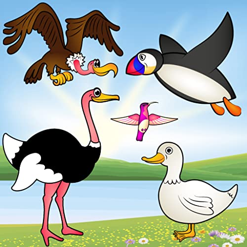 Aves juego para niños pequeños : Rompecabezas con las especies de aves ! Juegos educativos del rompecabezas - aplicación gratuita