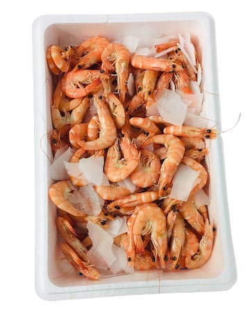 Camarones enteras cocidas – Origen América Latina – Calibre 40/60 – Lote de 2 kg – DLC 6 días después del envío del pedido