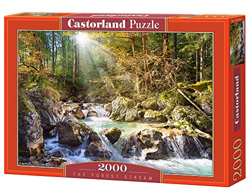 Castorland The Forest Stream 2000 pcs Puzzle - Rompecabezas (Puzzle Rompecabezas, Paisaje, Niños y Adultos, Niño/niña, 9 año(s), Interior)