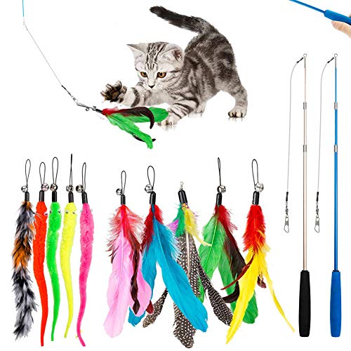 DIWUJI 12 PCS Juguete Pluma de Gato Interactivo, 2 PCS Varita Retráctil y 10 PCS Plumas de Recambio con Campana, Juguete de Cazador de Gatos Interactivo Varita para Ejercitar Gatos y Gatitos