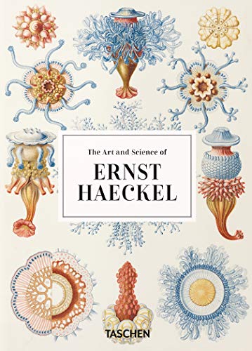 Ernst Haeckel – 40Th Anniversary Edition Ernst Haeckel – 40Th Anniversary Edition