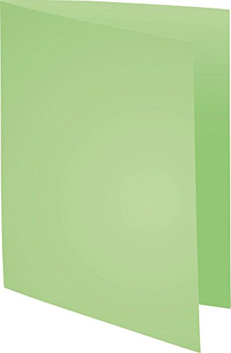 Exacompta 410004E - Lote de 100 Subcarpetas Forever® 250, Color Verde Claro