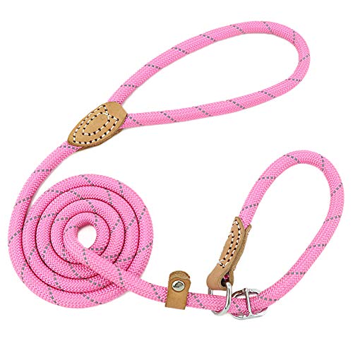 Grand Line Correa de Perro Nylon Cuerda de Entrenamiento Ajustable Reflectantes para Perros Pequeños, Medianos, Grandes y Extra - 1.0cm de Diámetro x 150cm de Largo(Rosa) Grand Line Correa de Perro Nylon Cuerda de Entrenamiento Ajustable Reflectantes para Perros Pequeños, Medianos, Grandes y Extra - 1.0cm de Diámetro x 150cm de Largo(Rosa)