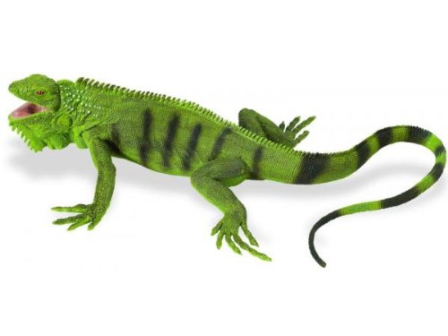 Iguana adulta Safari ltd cod. 267729