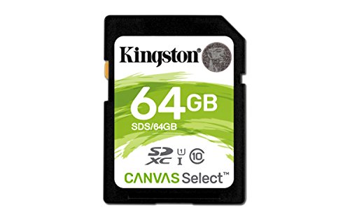 Kingston SDS/64GB - Tarjeta de Memoria SD (Micro SDS, 64 GB, UHS-I, Clase 10, hasta 80 MB/s)