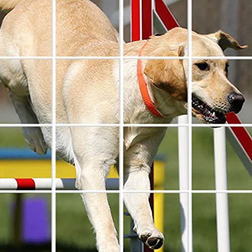 Labrador Retriever-Labrador Dogs Puzzle Game