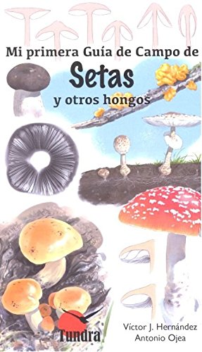 Mi primera guía de campo de setas y otros hongos
