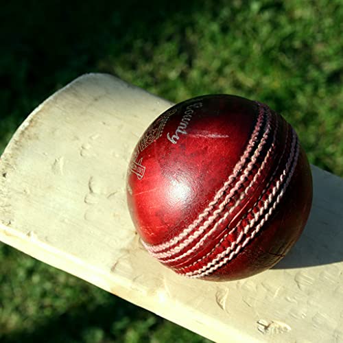 Pegue el cricket: Juegos gratis