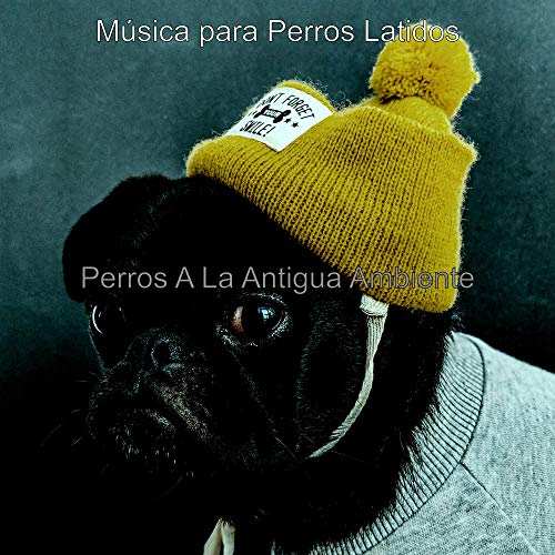 Perros A La Antigua Ambiente Perros A La Antigua Ambiente