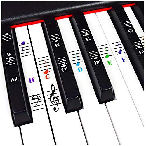 Piano y Keyboard Notas Musicales Duran Set Etiqueta para blancas y negras teclas con piano Canciones S de portatil para fácil Piano lektionen; transparente y desmontable