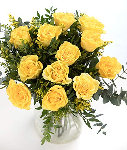 Ramo 12 Rosas Amarillas, Flores Naturales a Domicilio Blossom® | Ramo de Rosas Naturales a Domicilio Frescas y Recién Cortadas | Sant Jordi, San Valentín, Día de los Difuntos | Entrega Gratis
