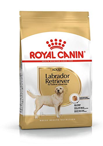 Royal Canin C-08905 S.N. Labrador 30 - 12 Kg