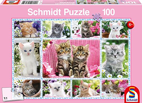 Schmidt - 56135 - Puzzle - Gatitos - 100 Unidades