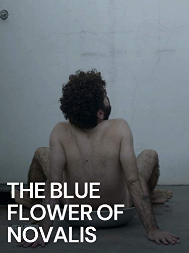 The Blue Flower of Novalis
