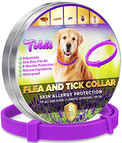 toldi Tratamiento-de-pulgas-para-Perros, Collar-antipulgas-Perros Ajustable, 8 Meses de protección-contra-pulgas-y-garrapatas-para-Perros Cachorros Collar Repelente de piojos y garrapatas