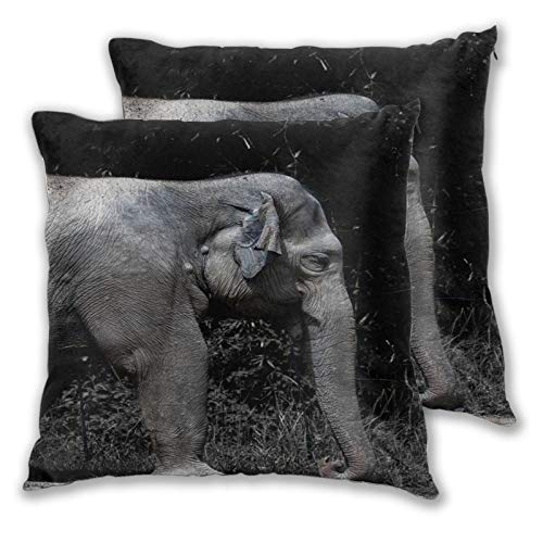 WINCAN Juego de 2 Decorativo Funda de Cojín,Elefante África Safari Sabana Animal Naturaleza,Funda de Almohada Cuadrado para Sofá Cama