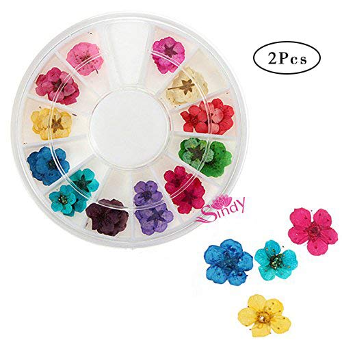 12 colores 3d Arte de uñas seco flores decoración de Manicura Consejos Nail Art Rueda