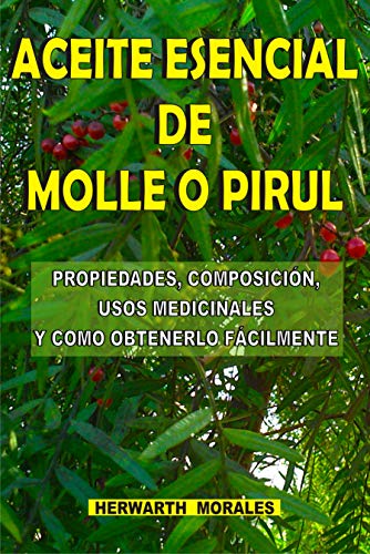 ACEITE ESENCIAL DE MOLLE O PIRUL: Propiedades, composición, usos medicinales y como obtenerlo fácilmente