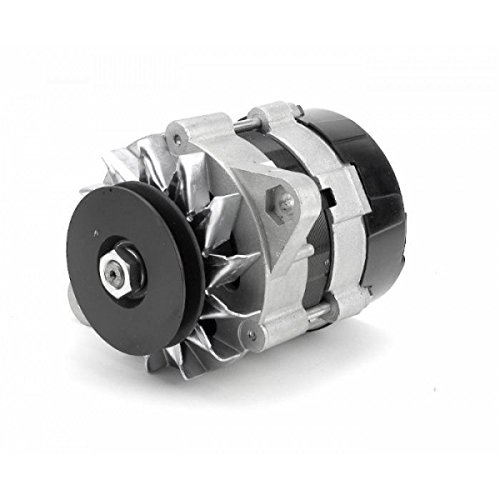 Alternador adaptable Fiat serie Oro 12 V sin regulador de Ama Alternador adaptable Fiat serie Oro 12 V sin regulador de Ama