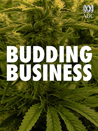 Budding Business Budding Business