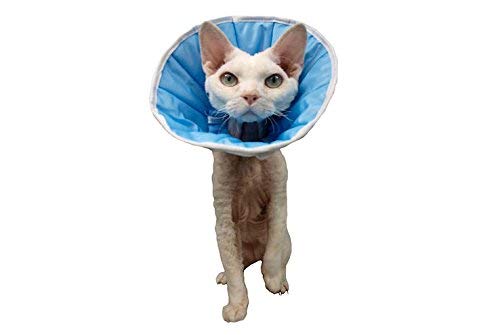 Collar de curación para perro o gato 2 (M) – Contorno de cabeza: 24 – 30 cm, altura 16 cm
