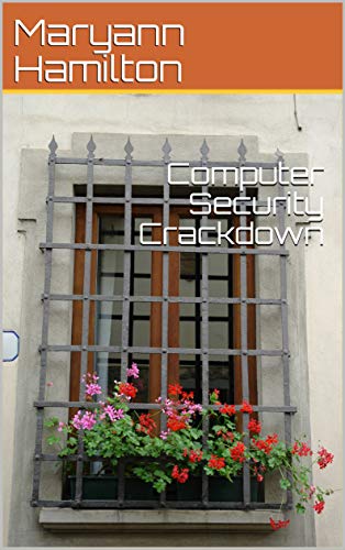 Computer Security Crackdown (English Edition)