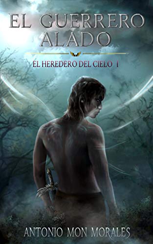 El Guerrero Alado: Una novela de acción, magia y fantasía (El Heredero del Cielo nº 1)