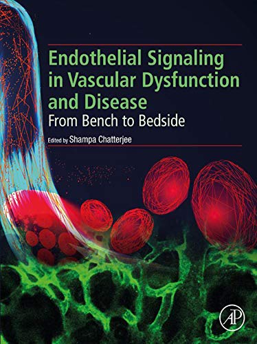 Endothelial Signaling in Vascular Dysfunction and Disease: From Bench to Bedside (English Edition)