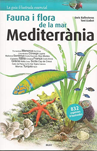 Flora I Fauna De La Mar Mediterrània: 1 (Guia il·lustrada essencial)