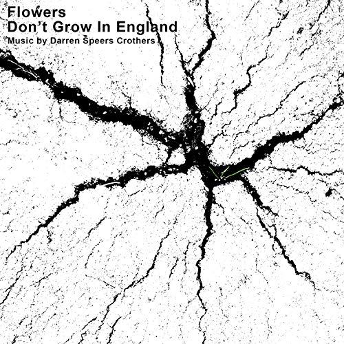 Flowers Don't Grow in England Original Soundtrack
