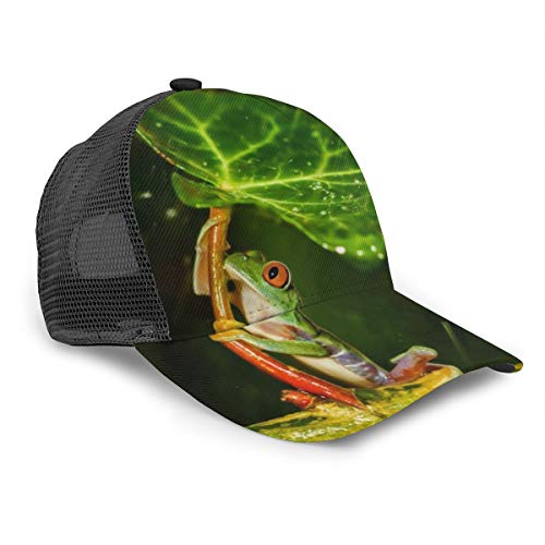 FONDSILVER Gorra de béisbol Porcelana con diseño de Rana en la Rama del árbol, de algodón, para Hombres y Mujeres, con Visera Ajustable para Deportes al Aire Libre, Color Negro