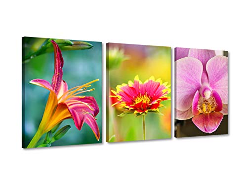 Foto Canvas Cuadros de Flores Modernos | Lienzos Decorativos - Decoración Dormitorios - Cuadros Decoración Salón | Cuadros Modernos con Flores 30 x 40 cm x 3 Piezas Listos para Colgar