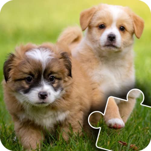 Fun Cats & Dogs Jigsaw Puzzles for kids and toddlers 2 - Free Edition - Fun and Educational Jigsaw Puzzle Game for Kids and Preschool Toddlers, Boys and Girls 2, 3, 4, or 5 Years Old